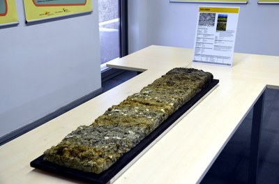 Mostra de sòls de Santa Engràcia, al Pallars Jussà (ACN/Marta Lluvich)