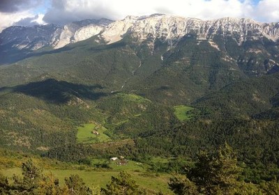 Turó Galliner