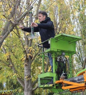 Col·locació de menjadores a la Seu (Foto: Ajuntament de la Seu)