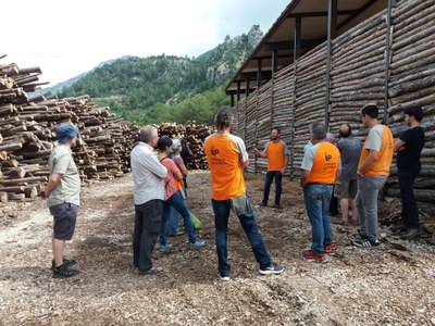 Activitat de gestió forestal a la Muntanya d'Alinyà (Integra Pirineus)