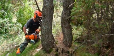 Integra Pirineus