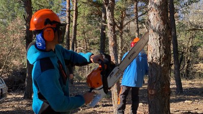 Treballs d'Integra Pirineus al bosc (Foto: ACN)