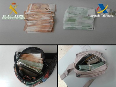 Intervenció de divises