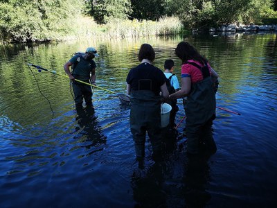 Bioblitz al riu Segre, a la Seu d'Urgell