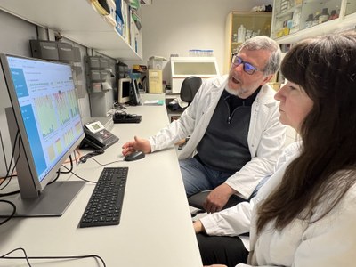 Els investigadors Joan Fibla i Marina Laplana analitzen les dades genètiques d'habitants genuïns del Pirineu (Foto: ACN)
