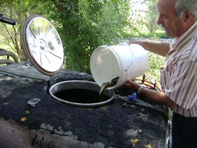 Rescat de peixos al riu Segre