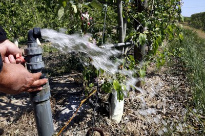 Un punt de regadiu en una finca de fruiters (Foto: ACN)