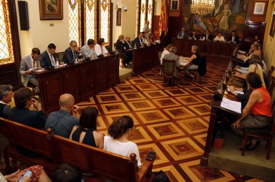 Ple del cartipàs de la Diputació de Lleida (Foto: ACN)