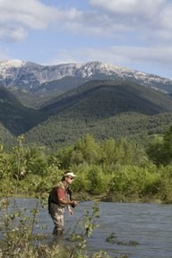 Pesca