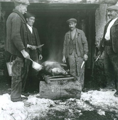 Fons Plandolit - Caçadors pelant un porc fer
