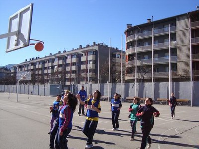 Bàsquet escolar