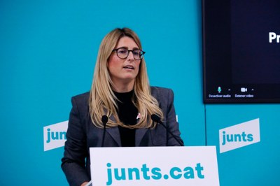 Elsa Artadi (Foto: ACN)