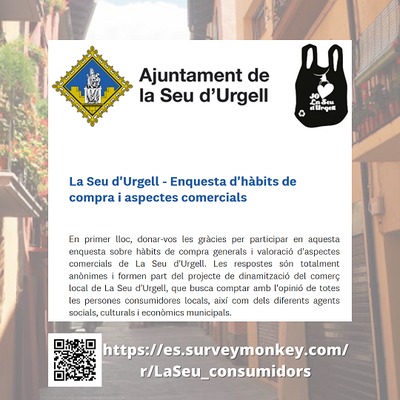 Enquesta a la Seu sobre hàbits de compra