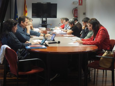 Ple del Consell Comarcal de l'Alt Urgell