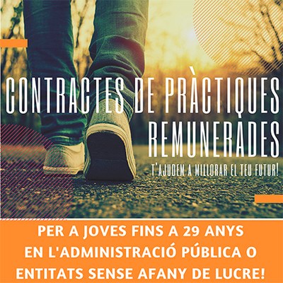Contractes de joves en pràctiques