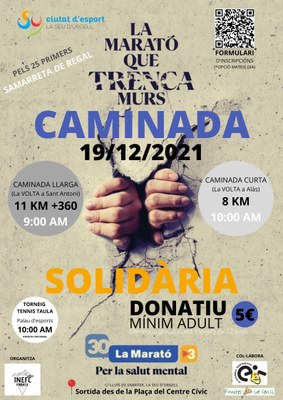 Cartell de l'activitat