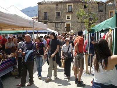 Festa de les Trementinaires (Foto d'arxiu CCAU)