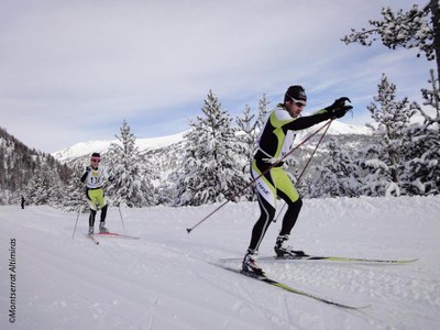 Marxa Pirineu 2014 (Foto: Montserrat Altimiras)