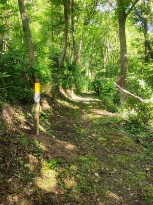 La brigada comarcal de l'Alt Urgell recupera més de 70 quilòmetres de senders i 60 de pistes forestals