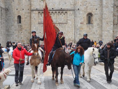 Benedicció dels animals per Sant Antoni
