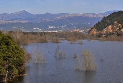 Oliana - Horta