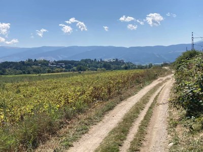 Camí de Puigcerdà a Enveig (Foto: @jicervera)