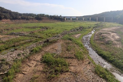 Vista d'una part de la cua del pantà de Rialb, a prop de la desembocadura del riu de la Ribera Salada, al terme municipal de Bassella (Foto: ACN)