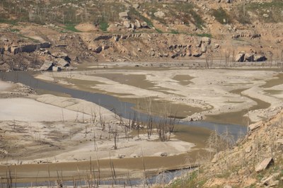 La cua del pantà de Rialb, a Bassella, pràcticament sense aigua (Foto: ACN / arxiu)
