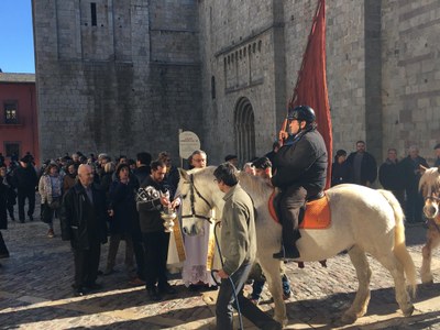 Benedicció dels animals