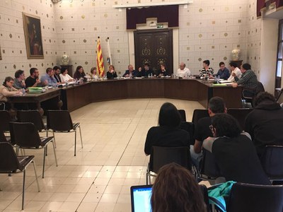 Ple de l'Ajuntament de la Seu d'Urgell