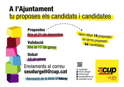 Procés per configurar la candidatura de la CUP a les municipals de la Seu