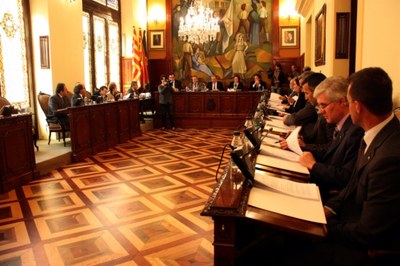 Diputació de Lleida - Ple 03.2014