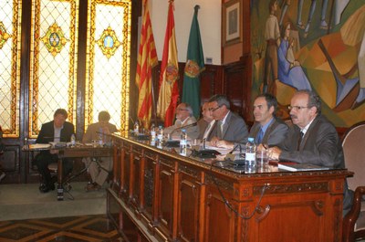 Diputació - Ple juliol 2010