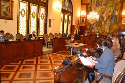 Ple de la Diputació de Lleida - Novembre 2020 (Foto: DdL)