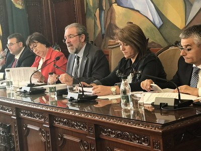 Ple de la Diputació de Lleida