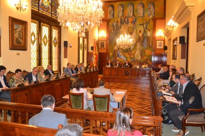 Ple de la Diputació de Lleida