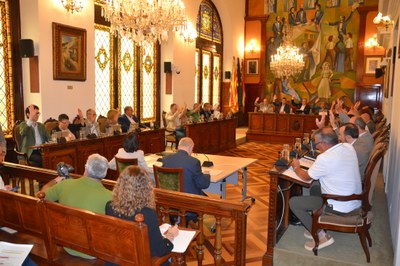 Ple de la Diputació de Lleida (Foto: Diputació de Lleida)