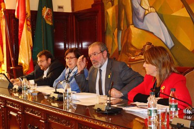 Ple de la Diputació de Lleida