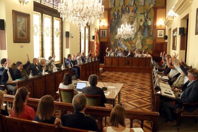 Ple de votació del cartipàs de la Diputació de Lleida (Foto: ACN)