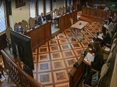 Ple semipresencial de la Diputació de Lleida (Foto: ACN)
