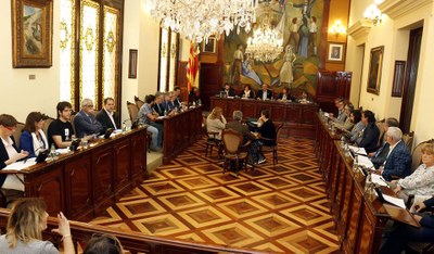 Ple de la Diputació de Lleida (Foto: ACN)