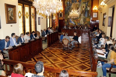 Ple de la Diputació de Lleida (ACN)