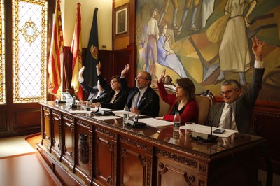 Ple de la Diputació de Lleida