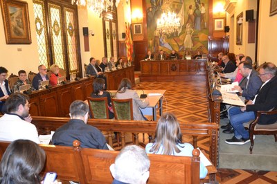 Ple de la Diputació de Lleida (Foto: DdL / arxiu)