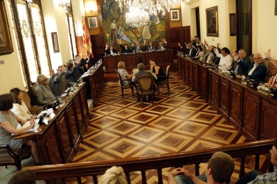 Ple de la Diputació de Lleida (Foto: ACN)