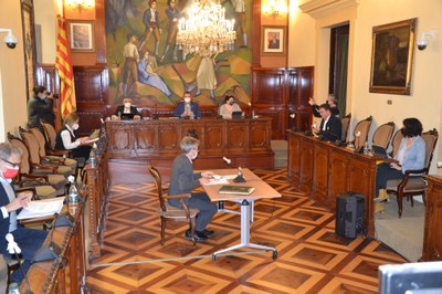Ple de la Diputació de Lleida (Foto: Diputació de Lleida)
