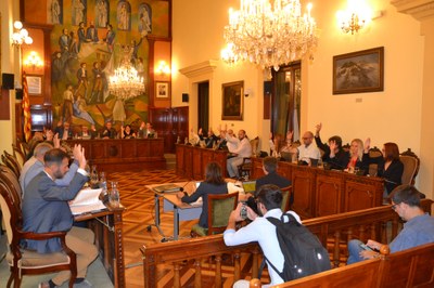 Ple de la Diputació de Lleida