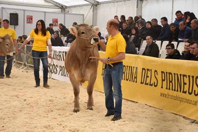 Concurs Nacional de Raça Bruna 2018