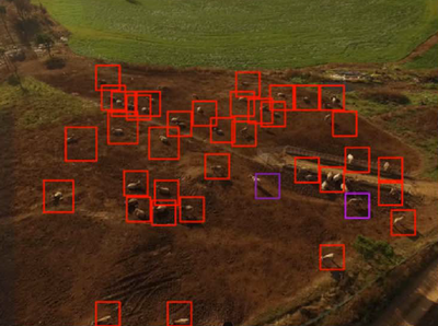 Geolocalització de vaques d'un ramat mitjançant un dron (Februpi)