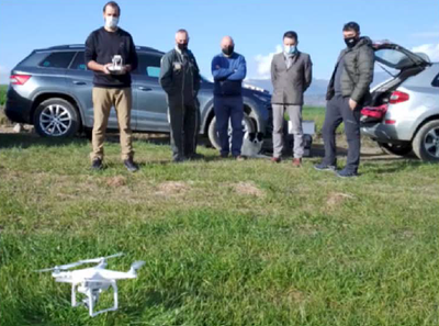 Proves de l'ús de drons per controlar ramats de la raça Bruna dels Pirineus (Foto: Februpi)